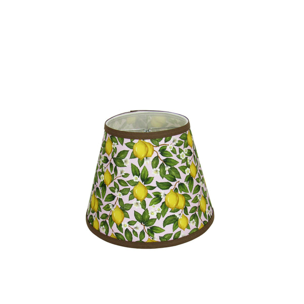 Aqua Quart Mason Jar Lamp with Lemon Print Clip-on Lamp Shade